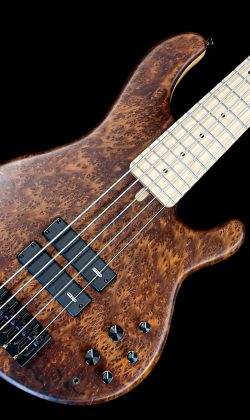 Supertone 5_redwood burl